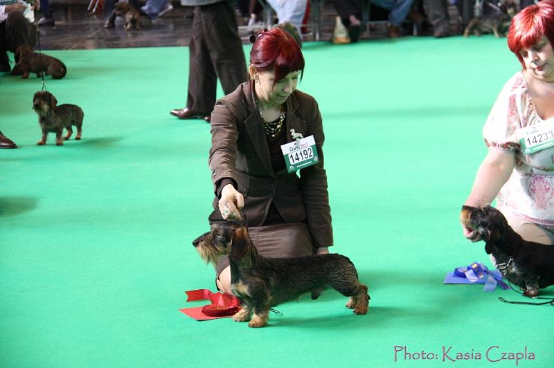 Crufts2011_2 646.jpg